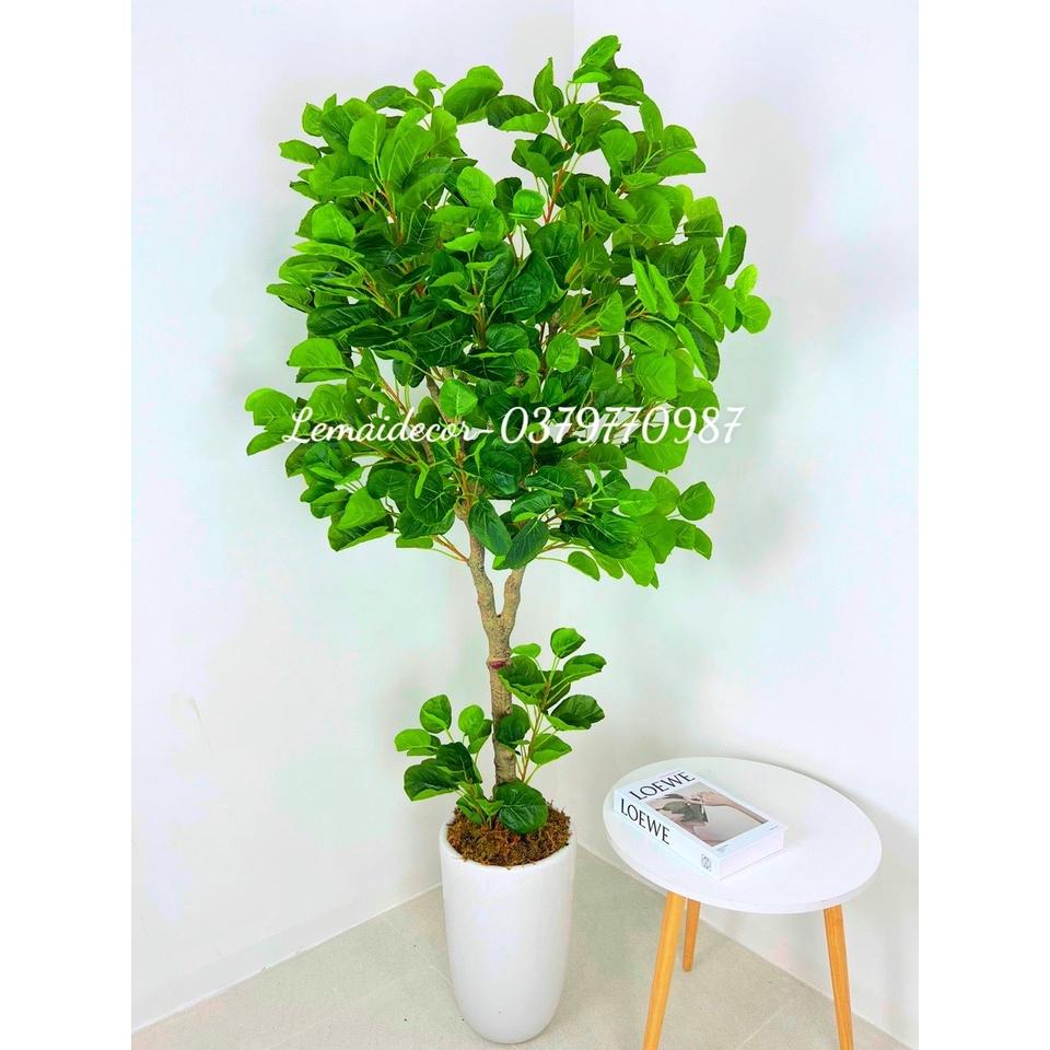 CÂY LÁ TÁO TRÒN GIẢ CAO 160CM, HÀNG LOẠI 1