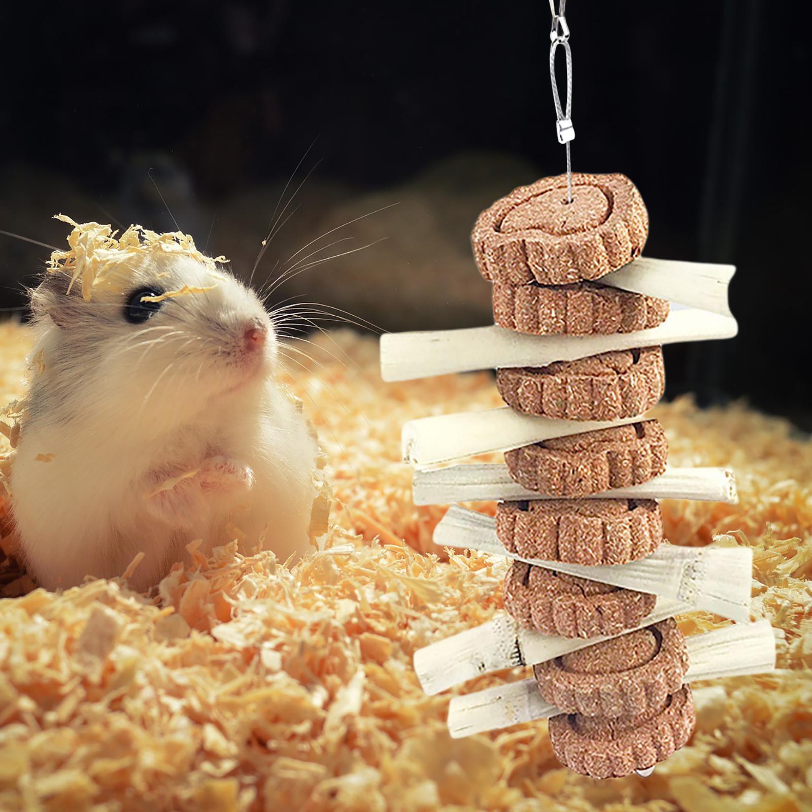 Set of 2 Guinea Pig Hamster Rabbit Chew Toy Teeth Grinding Cage Hanging
