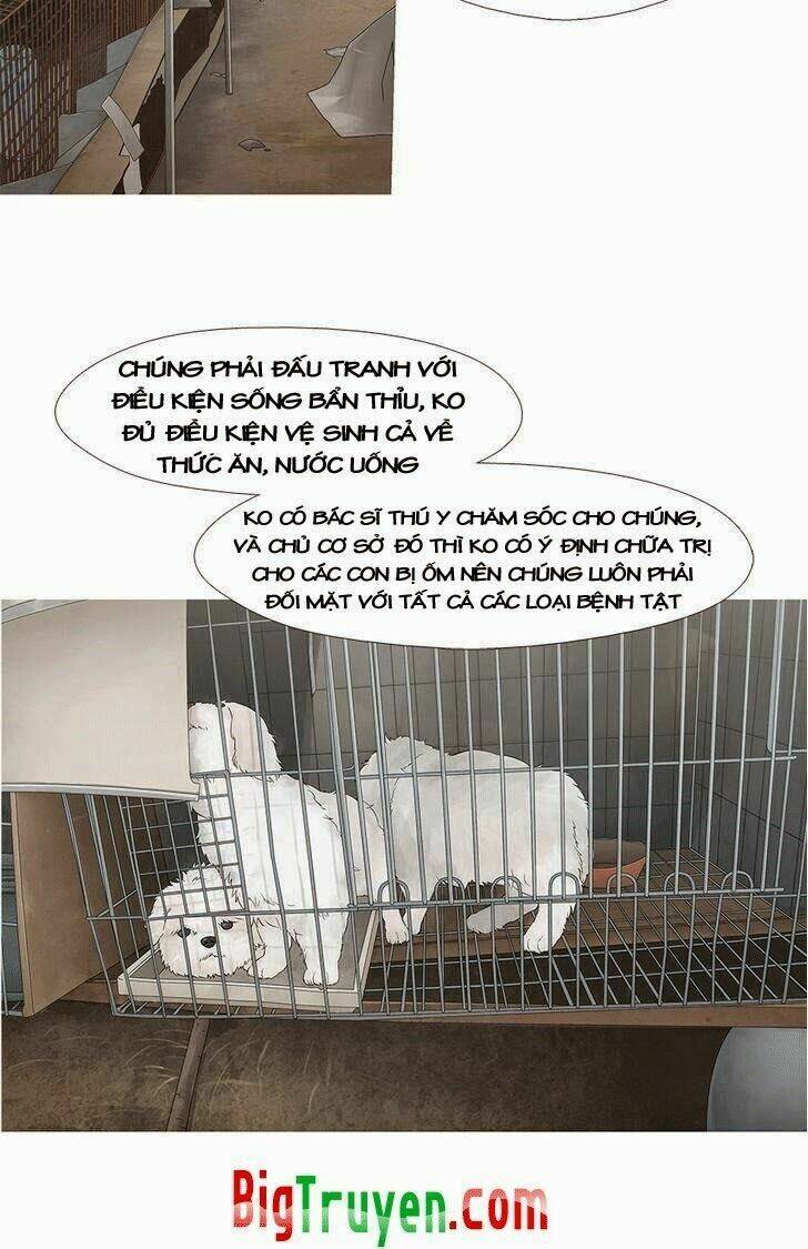 trái tim của một người bạn chapter 16 11