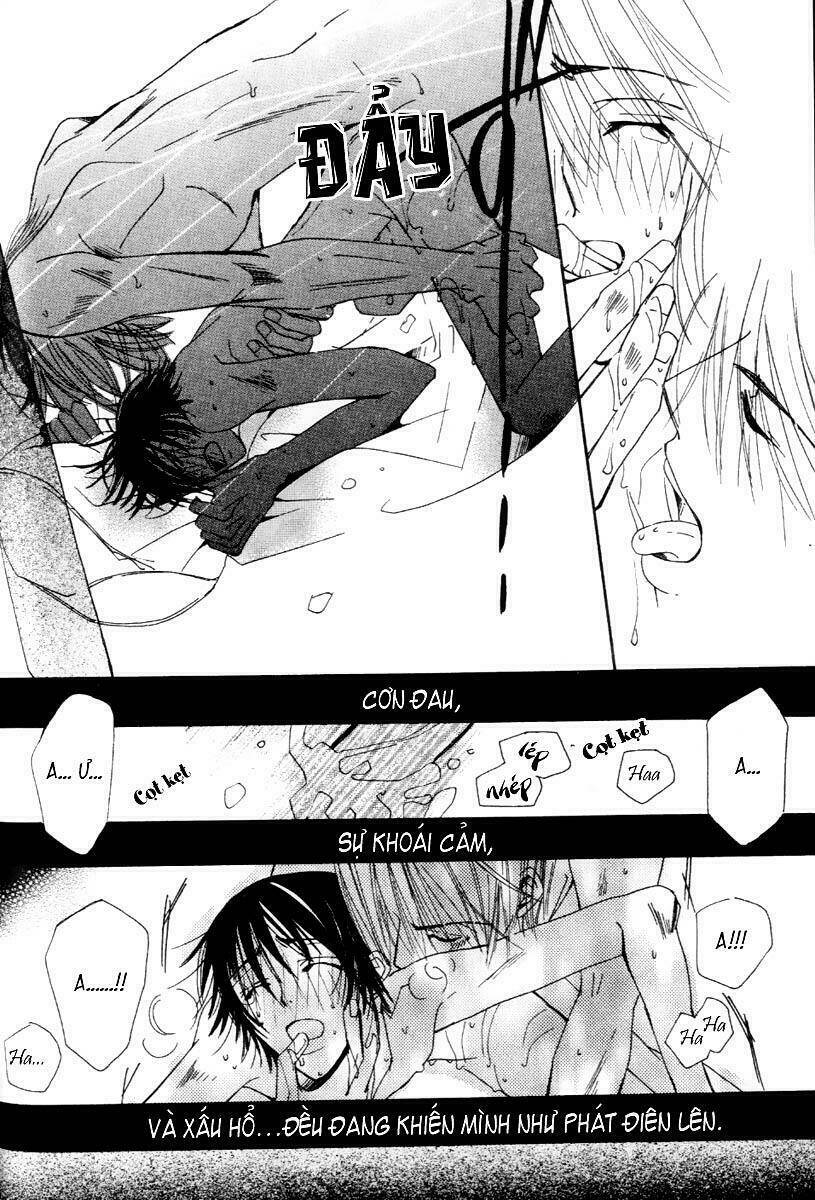 sự lãng mạn thuần khiết chapter 6 54