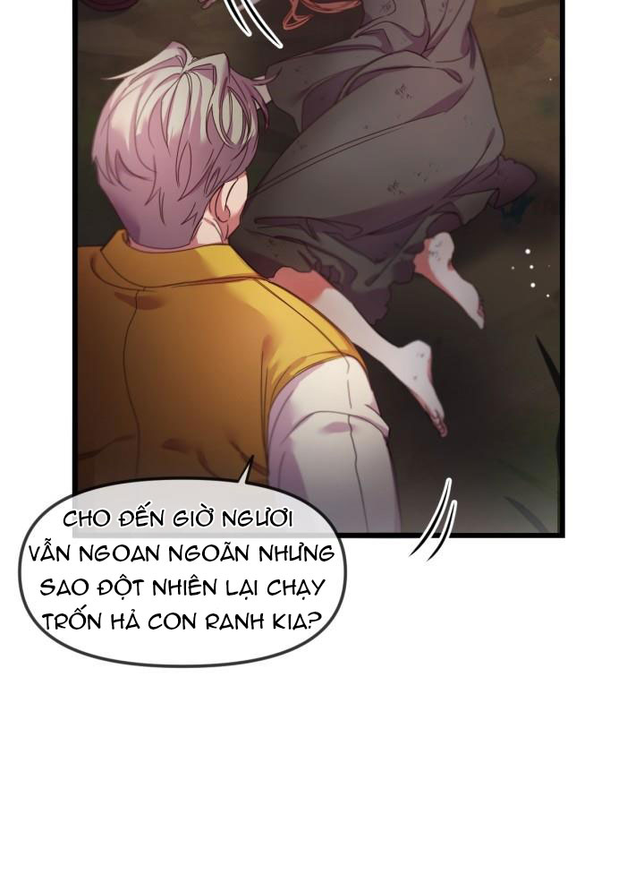 vị hôn thê của kẻ săn mồi chapter 1.1 36