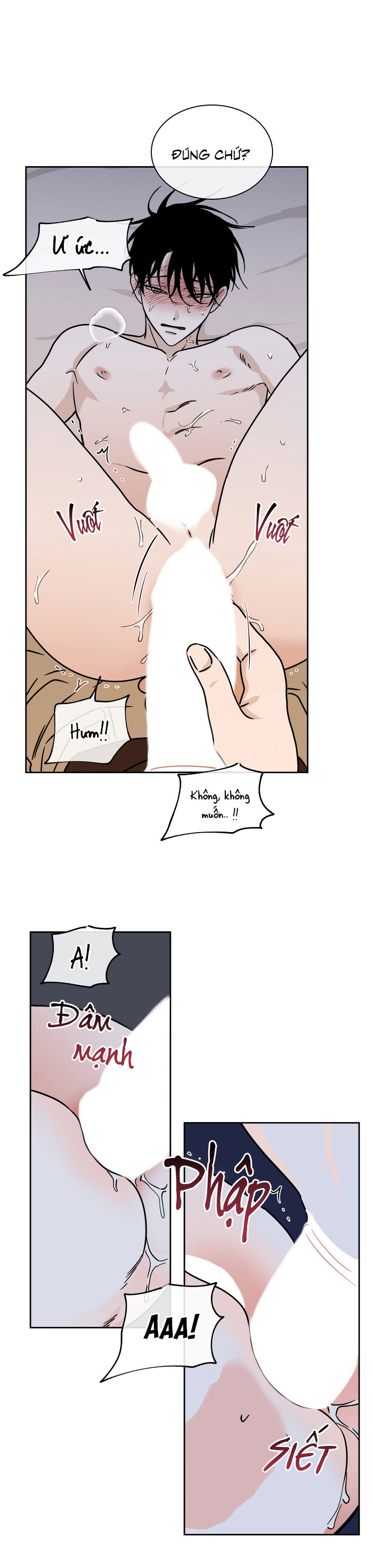 đêm bên bờ biển chapter 26 13