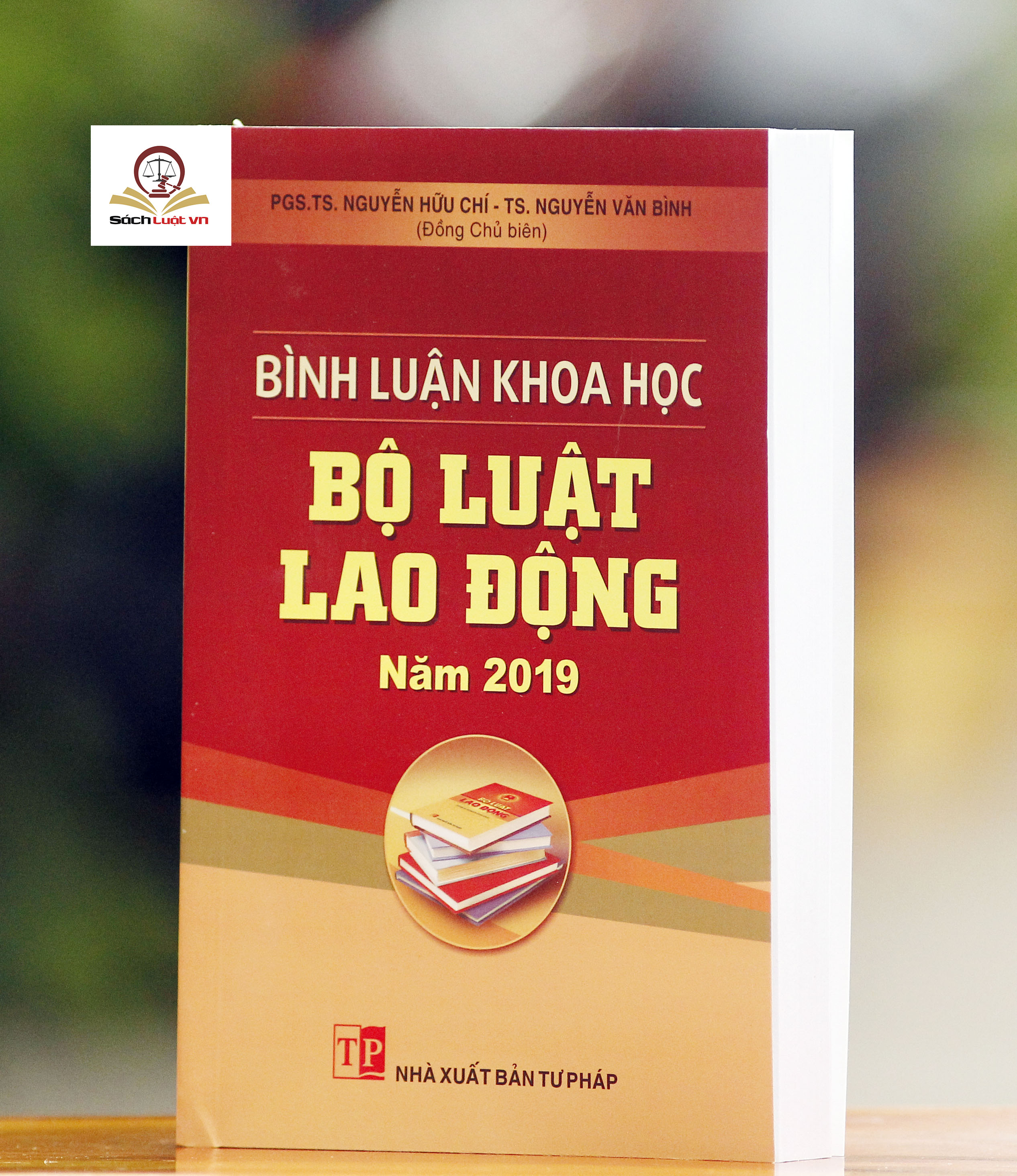 Bình luận khoa học Bộ luật lao động 2019