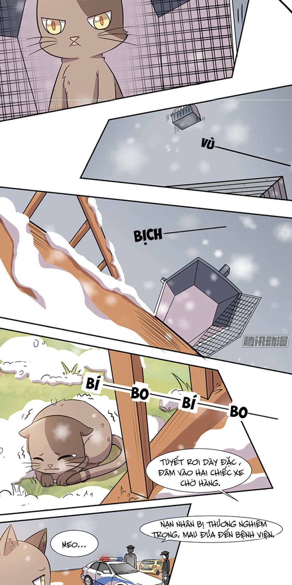 hai chú mèo totem chapter 24 9