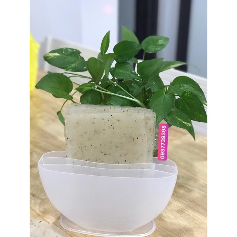 Tô nhúng bánh tráng cao cấp 3 ngăn