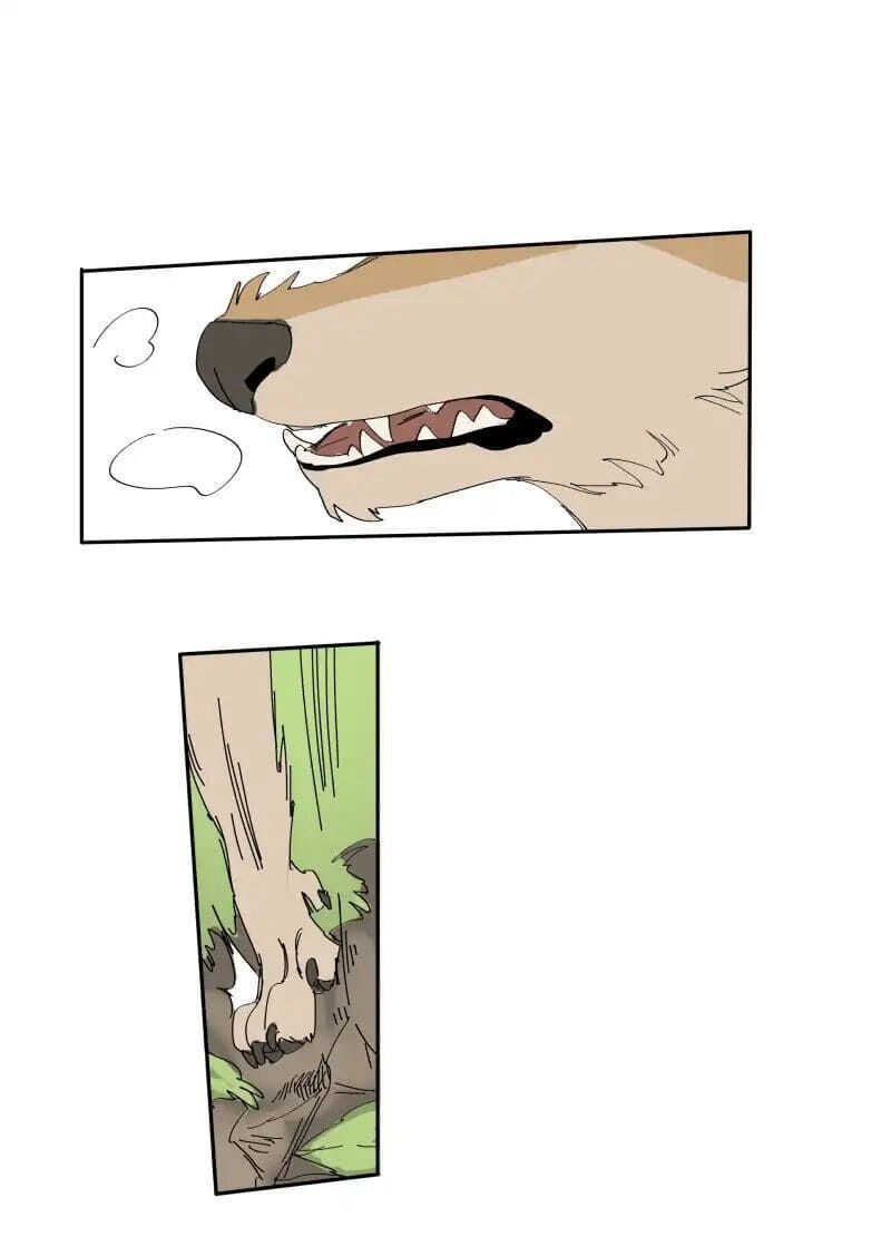 lumine - cội nguồn ánh sáng chapter 68 15