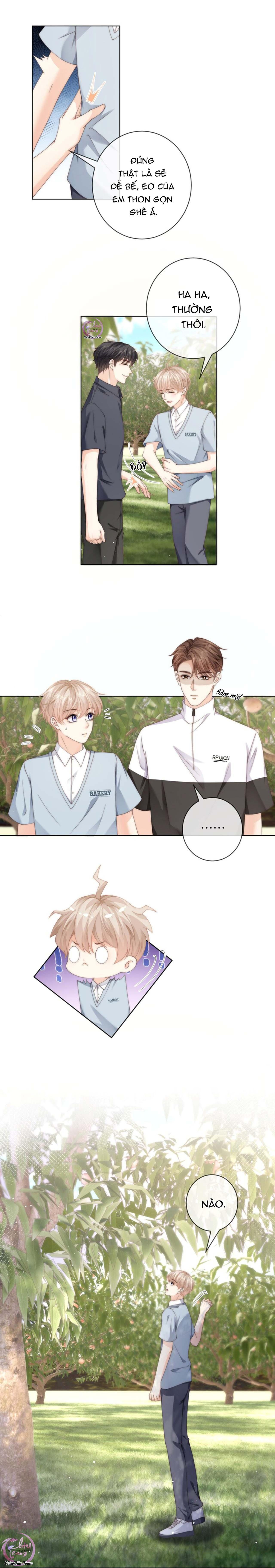 đảo thanh mai chapter 49 2