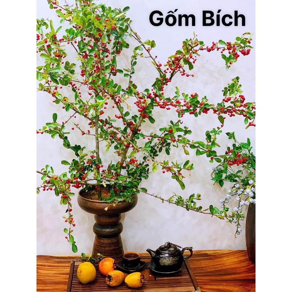 Bình Hoa Lọ Hoa Dáng Mặt Hồ Men Mộc Mẫu Mới Men Mới Gốm Sứ Bát Tràng - Gốm Bích