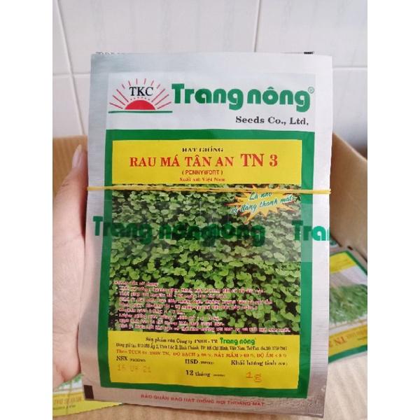 HẠT GIỐNG RAU MÁ LÁ NHỎ TRANG NÔNG TN3