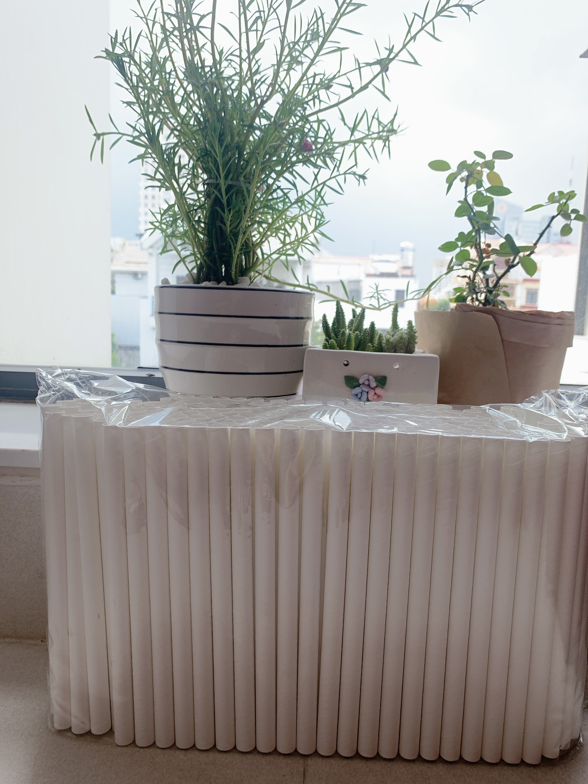 Túi 500 gram ống hút giấy Clean paper Straw size 12mm màu trắng dùng để uống trà sữa