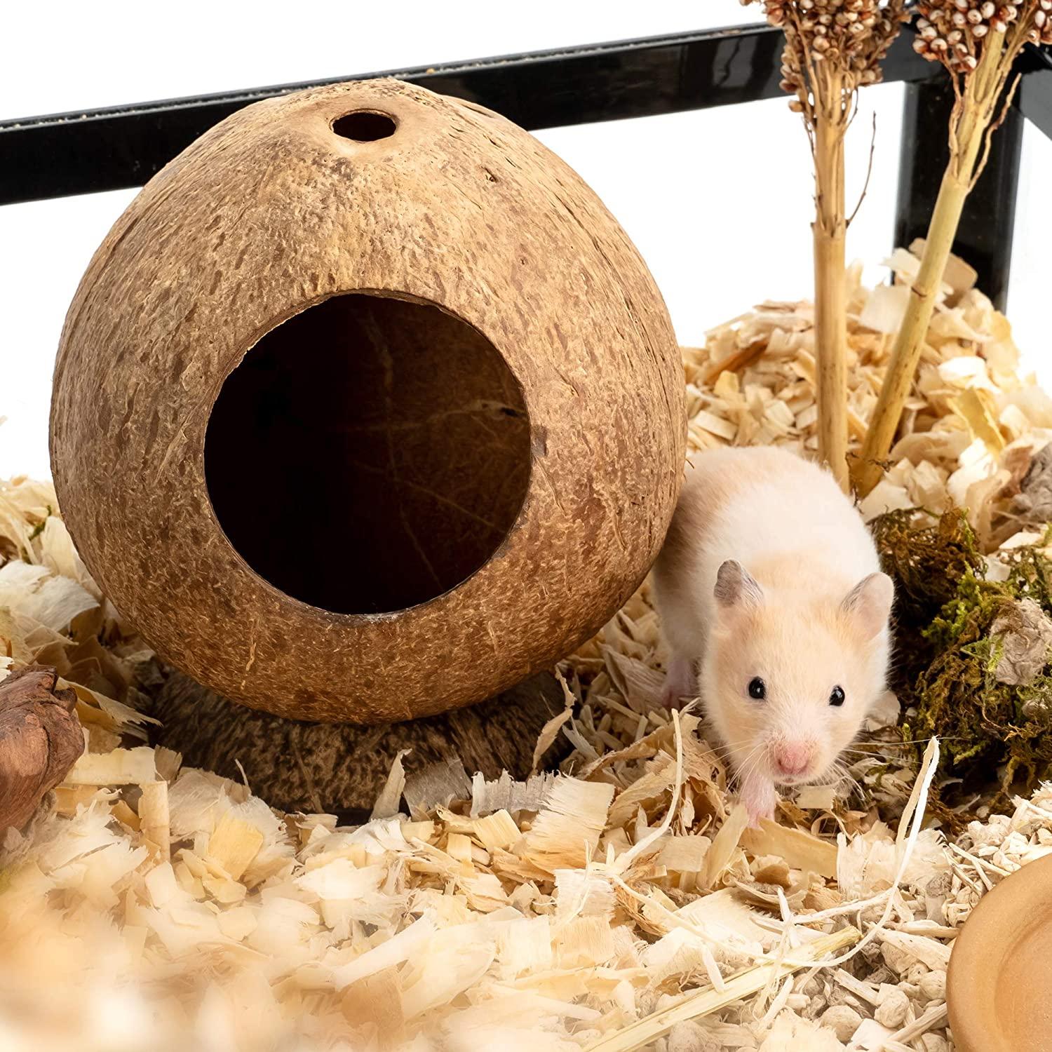 Dừa Hut Hamster House Giường để trang trí môi trường sống cho động vật nhỏ