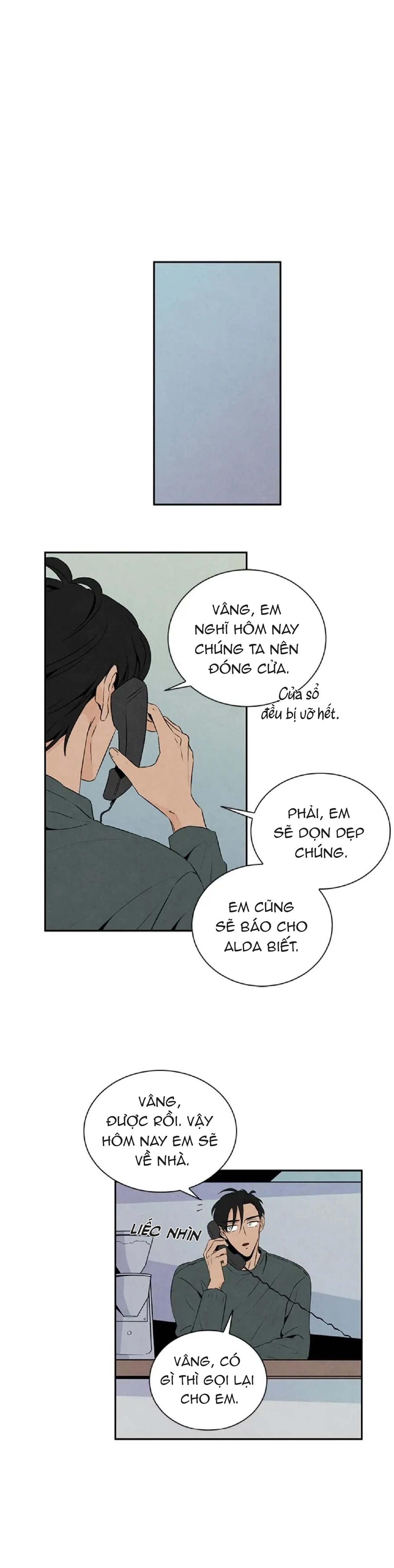 Bona Sort (END) chapter 18