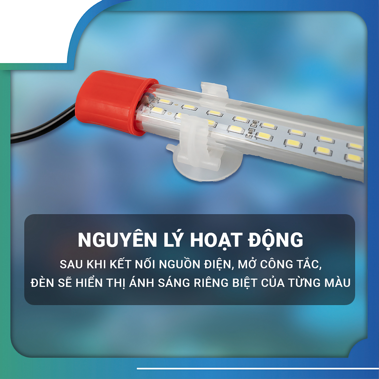 Đèn Led Chuyên Dụng Cho Cá Rồng XML-60 80 100 120