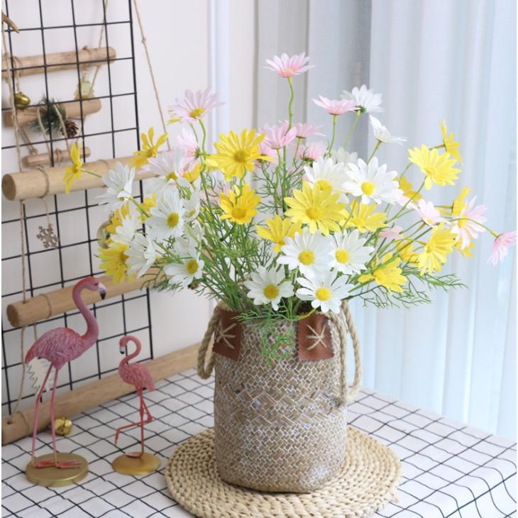 Cành hoa cúc họa mi decor quán cà phê hay shop chụp ảnh sản phâm siêu đẹp