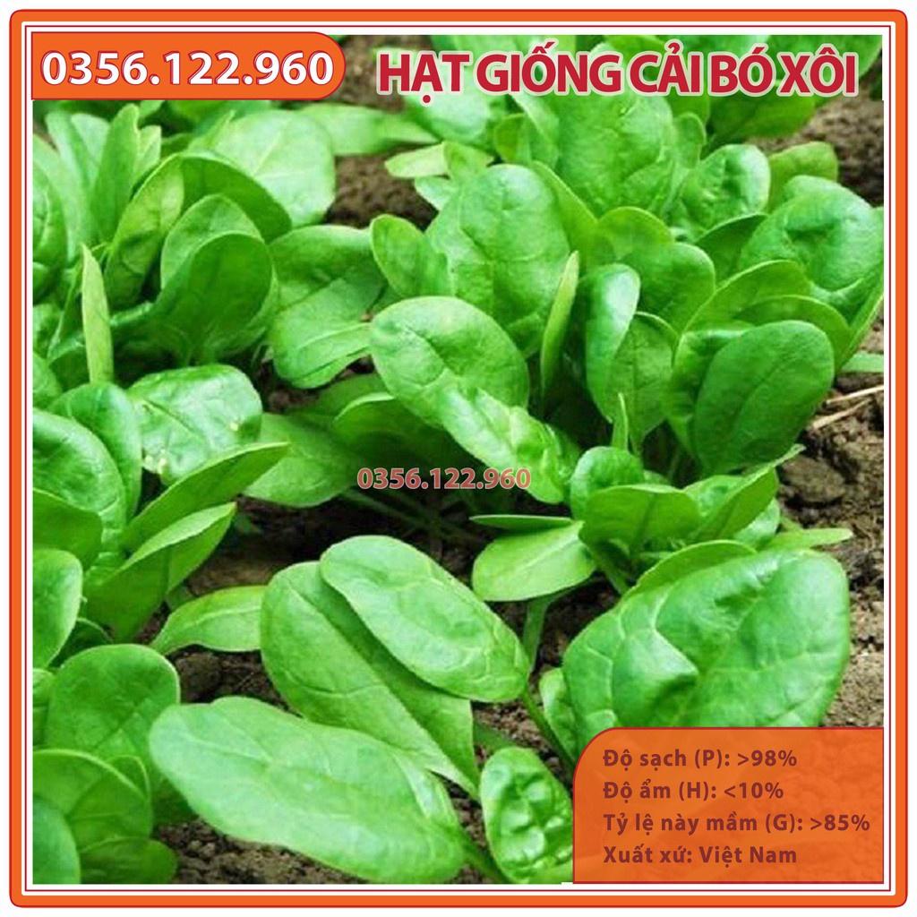 Hạt giống cải bó xôi chịu nhiệt - gói 20g - Rau chân vịt dễ trồng, năng suất cao