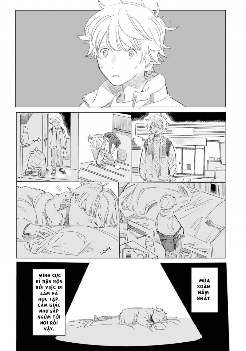 đất nước của những chú sư tử chapter 7 2