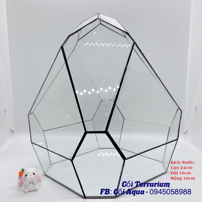 Bình thủy tinh Terrarium đa giác (Tặng kèm hít kính)