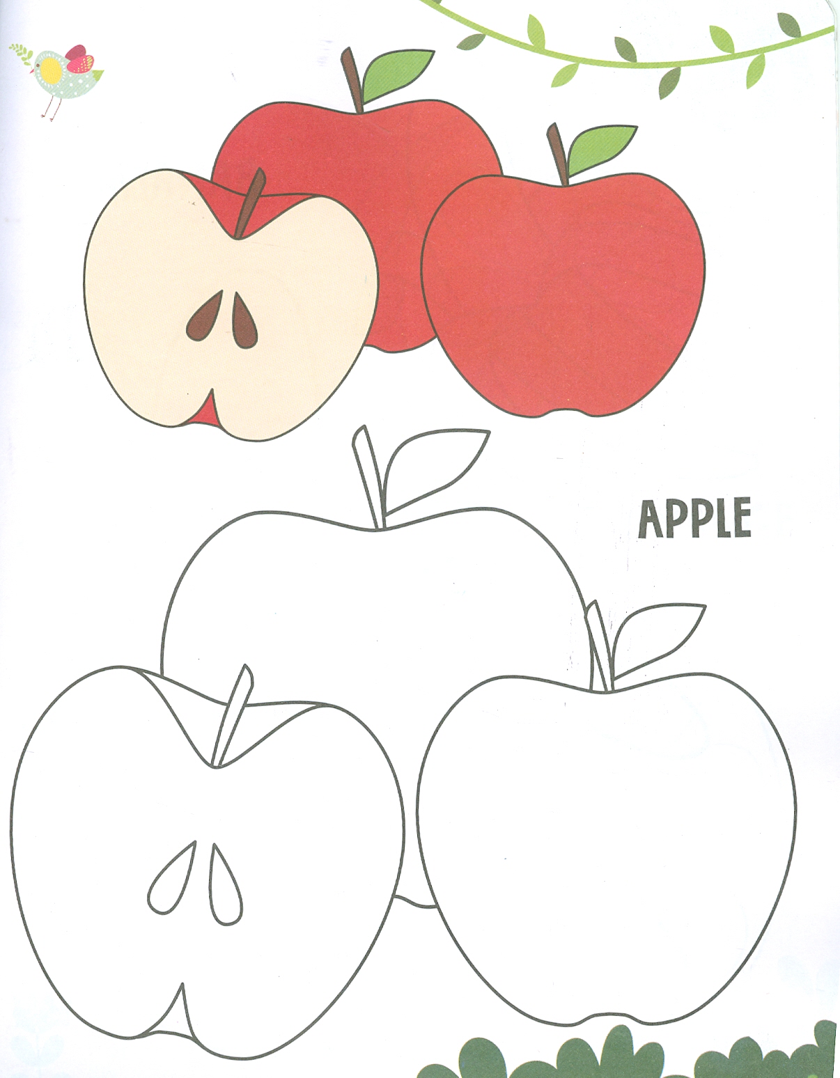 Creative Colouring Book Of Fruit (Sách Tô Màu Sáng Tạo Về Trái Cây)