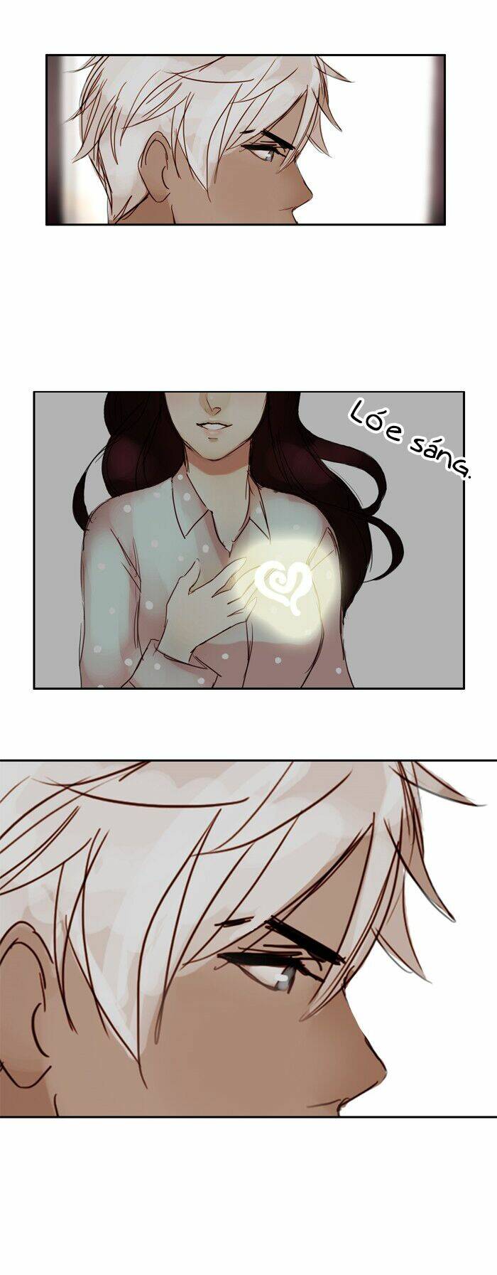 khúc hát người cá siren chapter 8 26