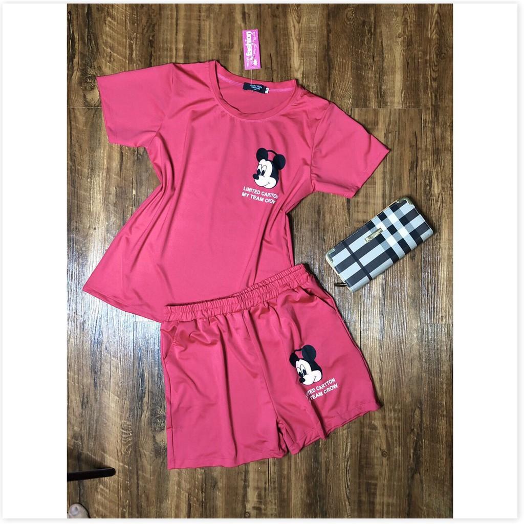Set áo thun nữ quần đùi nữ cotton