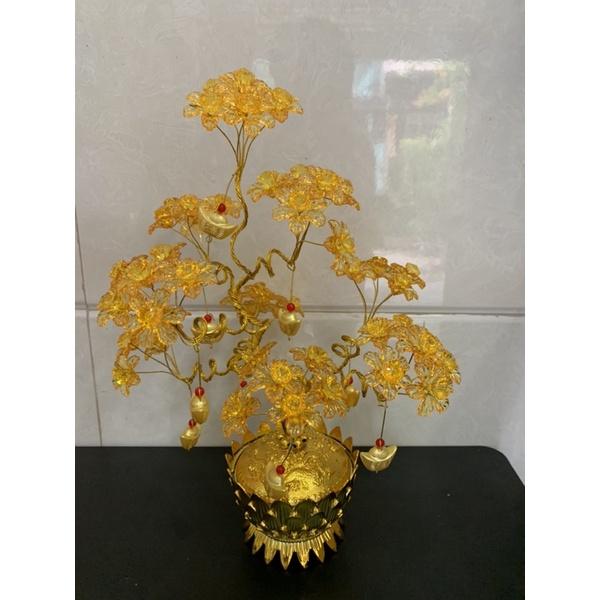 Chậu sen với hoa pha lê cao 30cm