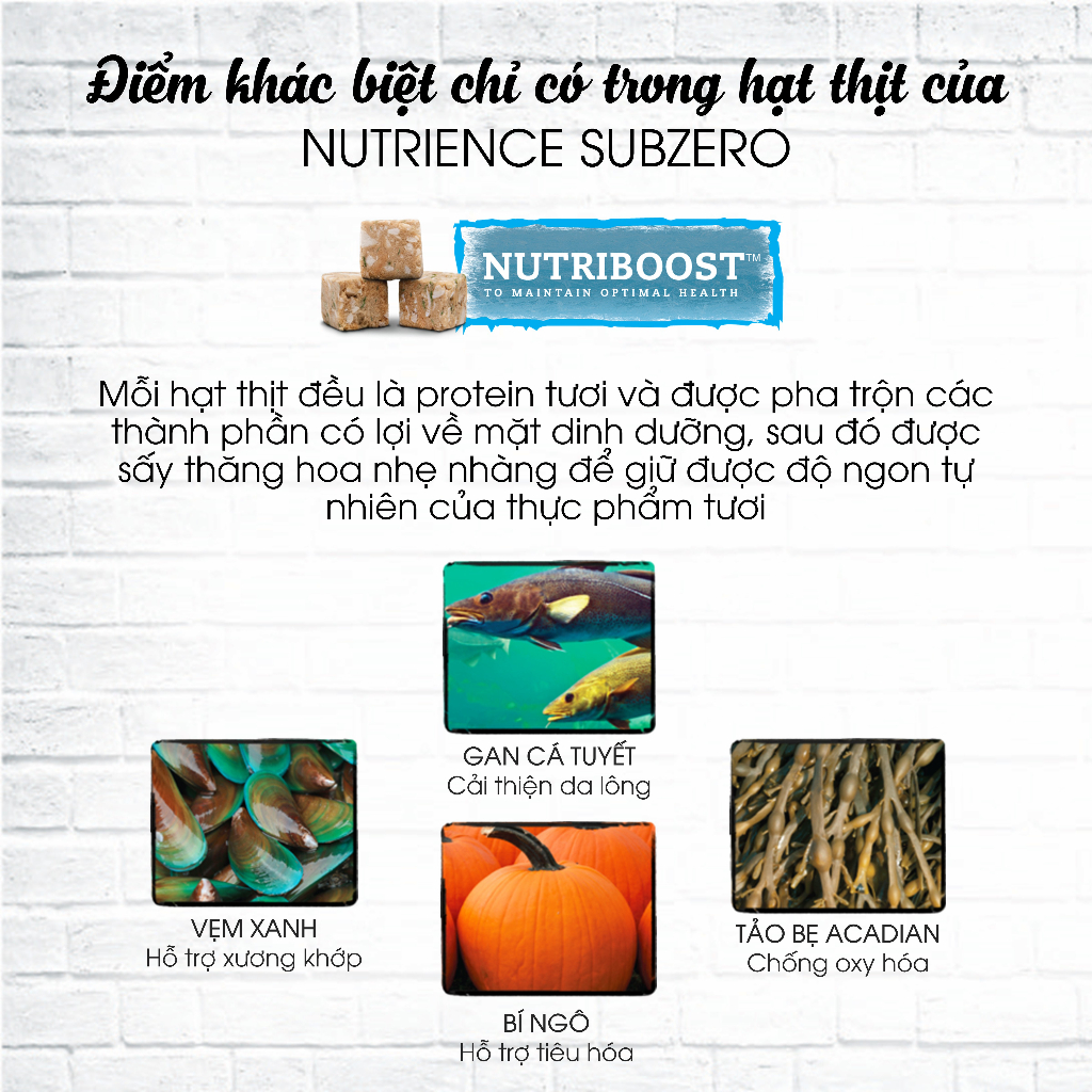 Thức Ăn Hạt Cho Mèo Mọi Lứa tuổi Nutrience Subzero