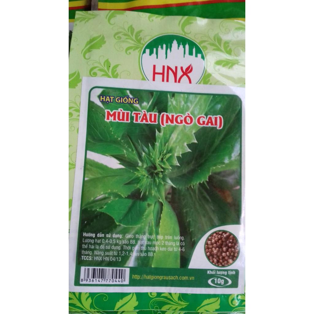 HẠT GIỐNG MÙI TÀU CAO SẢN 10G