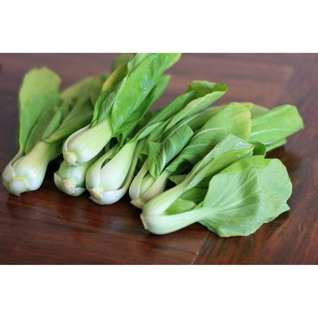 Hạt Giống Cải Thìa Cao Sản gói 20gr, hat giong rau sach thuy canh
