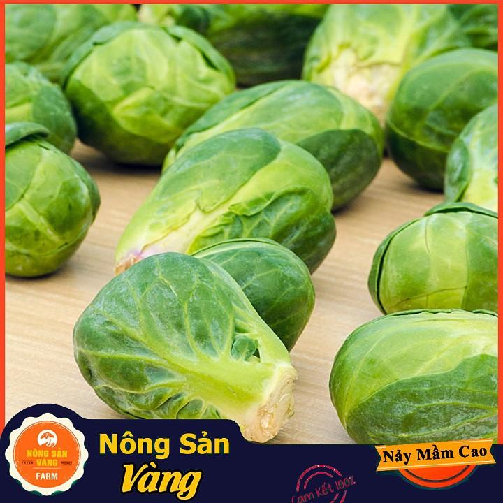 Hạt giống Bắp Cải Tí Hon Xanh