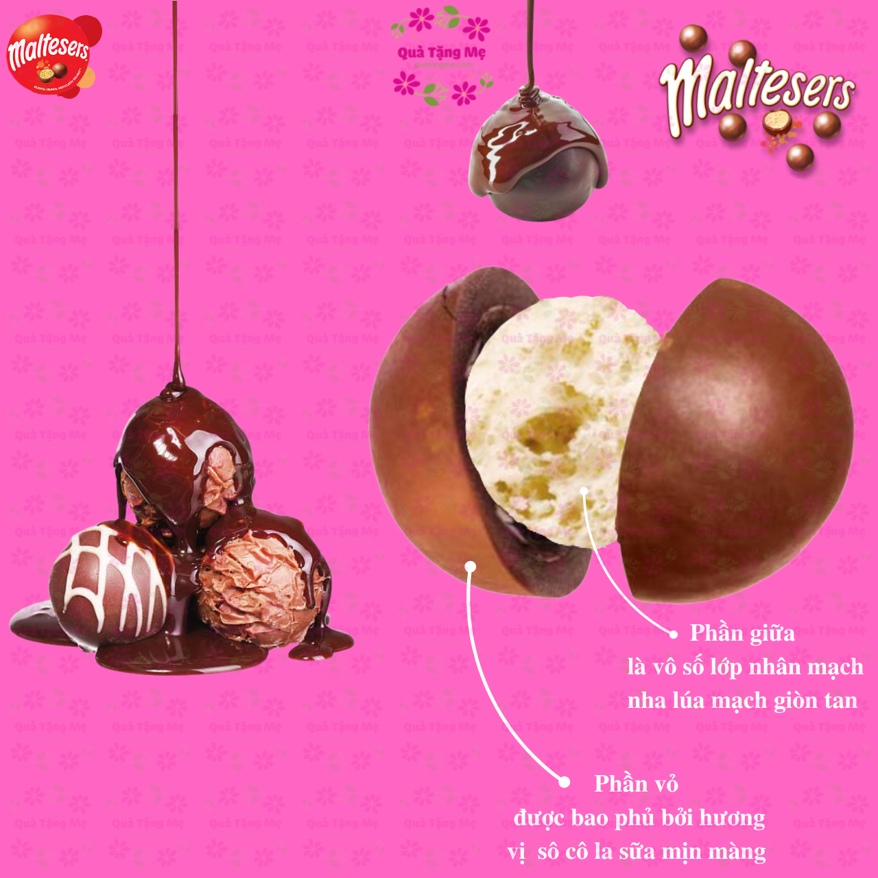 Socola nhân mạch nha Maltesers vị sô cô la sữa mịn màng thơm ngon cùng nhân mạch nha lúa mạch giòn tan - QuaTangMe Extaste
