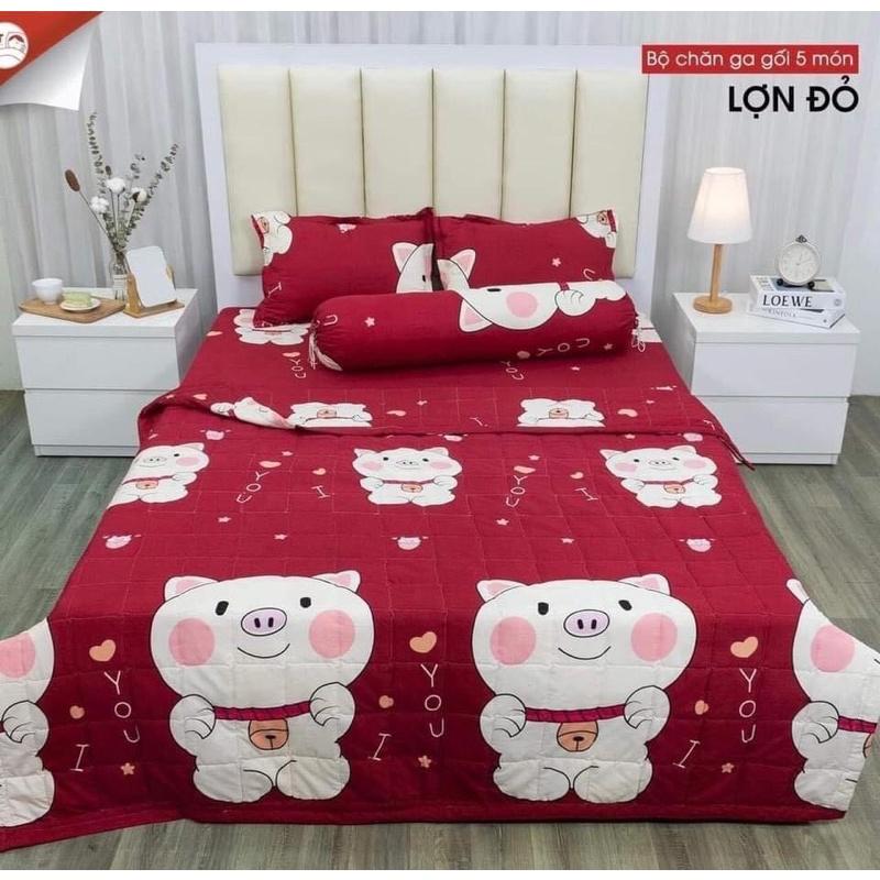 Chăn ga gối - Bộ drap 5 món cotton poly nhiều mẫu đủ size