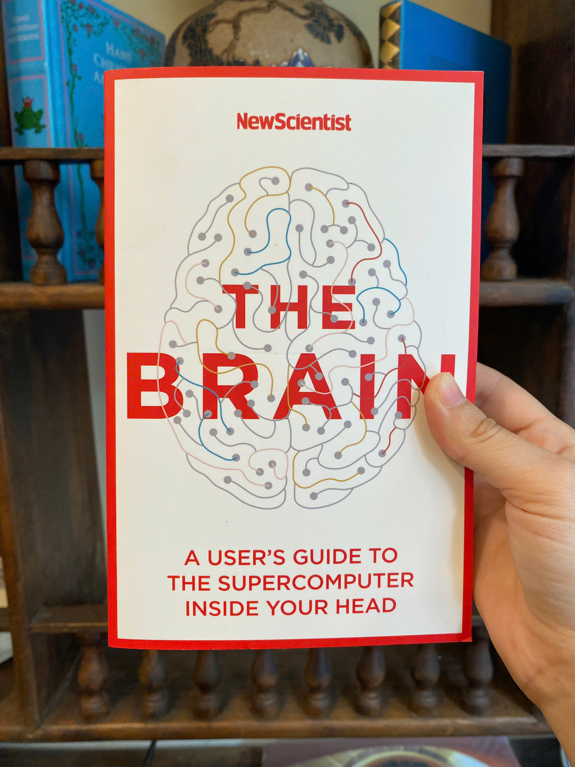 Sách - The Brain: A User's Guide to the Supercomputer Inside Your Head - New Scientist / Ngoại văn