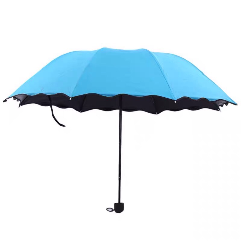 Dù nở hoa, dù gấp gọn chống tia UV, chiếc dù nở hoa thần kỳ gấp gọn , ô dù hoa cúc che nắng che mưa hữu hiệu