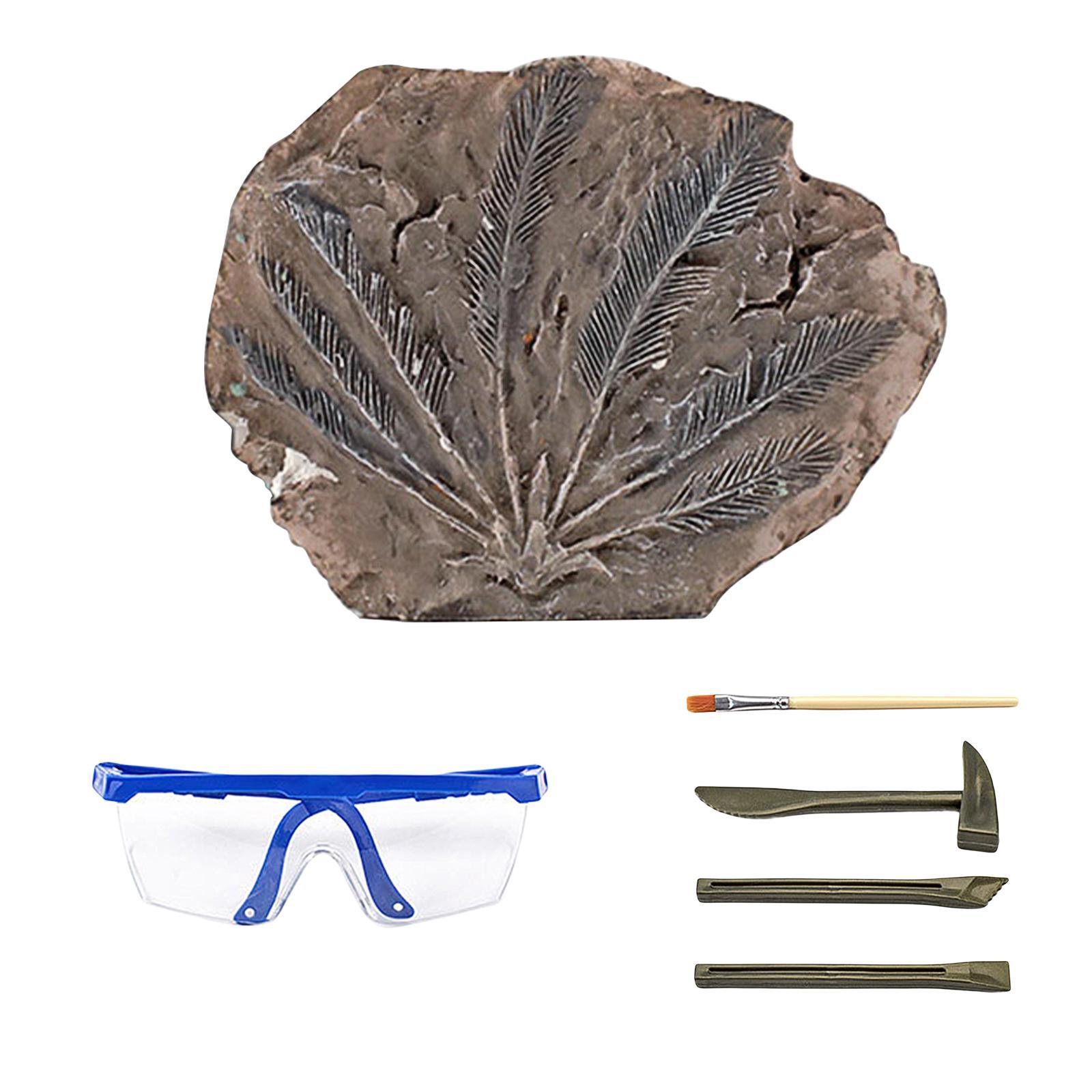 Kids Dinosaur Toys Excavation Discover Surprise Stone