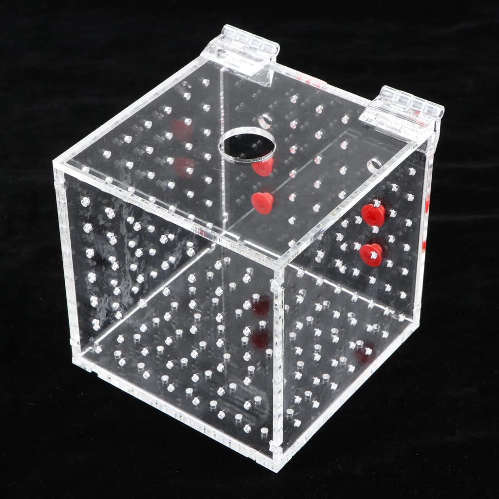 Clear Acrylic Aquarium Fish Incubator Breeding Box Incubator Isolation Box, 2 Size