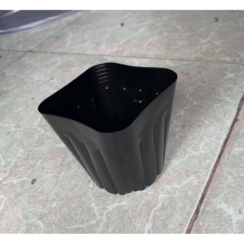 10 Chậu to ươm cây - màu đen -