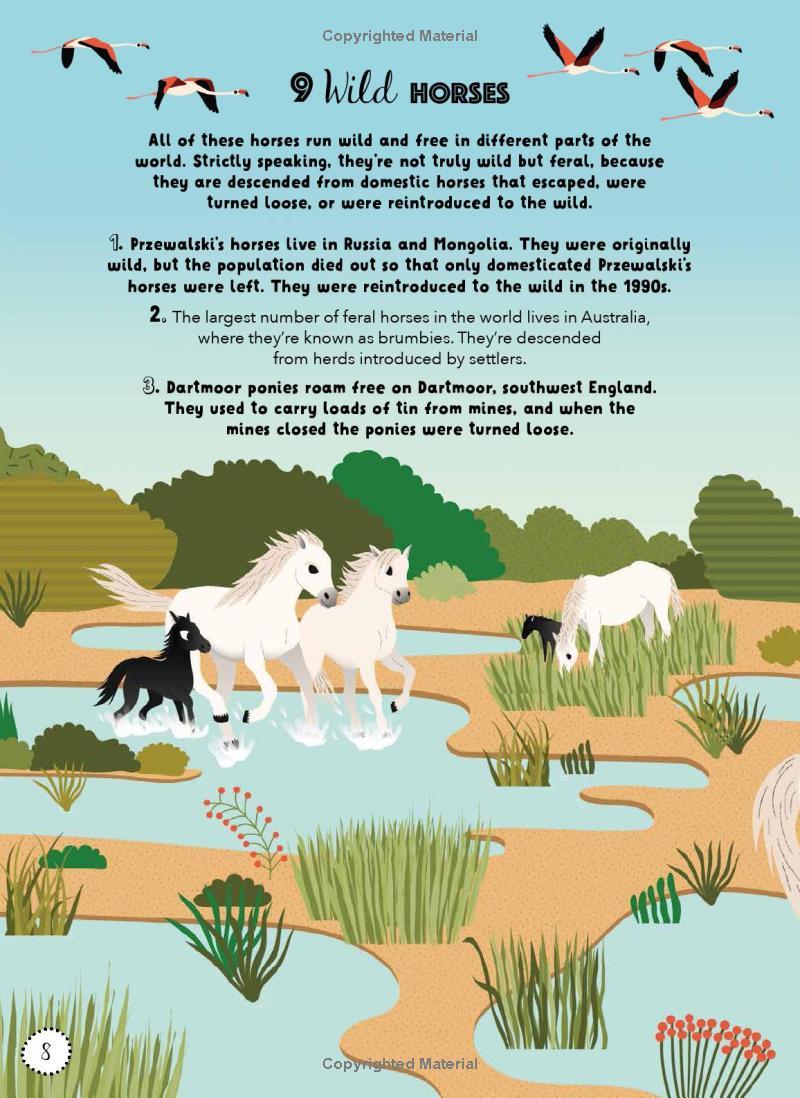 Sách ngoại văn: Lists For Curious Kids - Animals