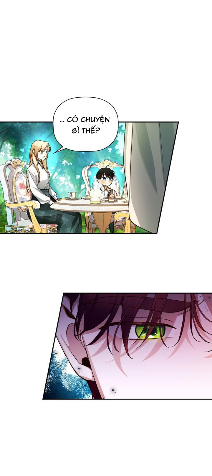 cách che giấu đứa con của hoàng đế chapter 25 48