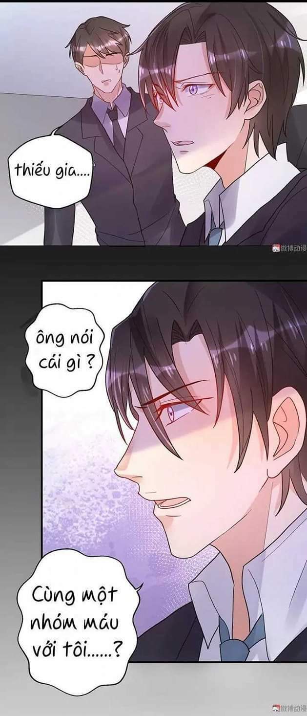 tổng tài truy thê: phu nhân đừng hòng trốn chapter 18 8
