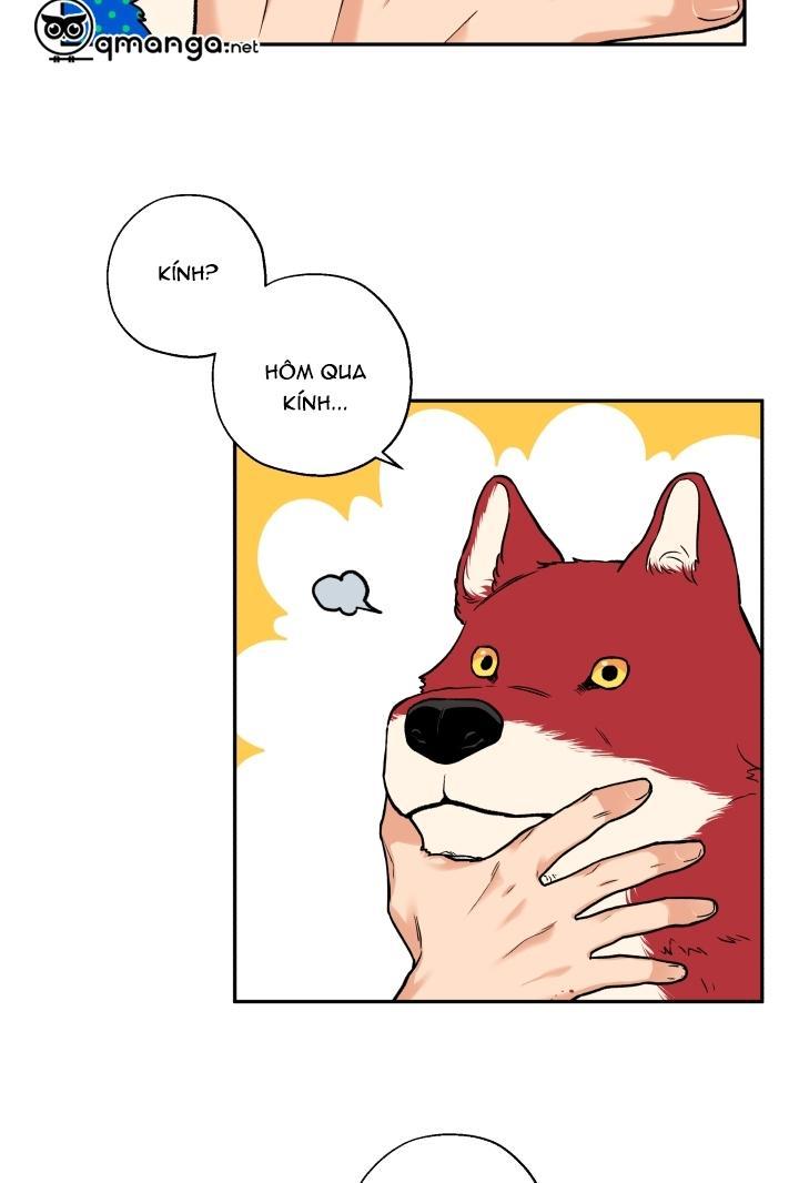 gâu gâu! chapter 12 14