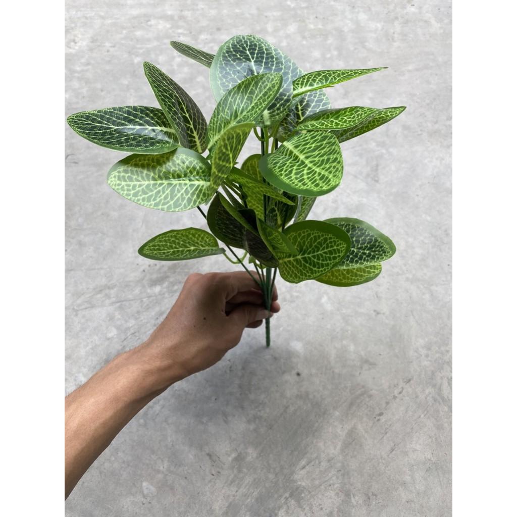 Cành lá dương sỉ điểm trang trí