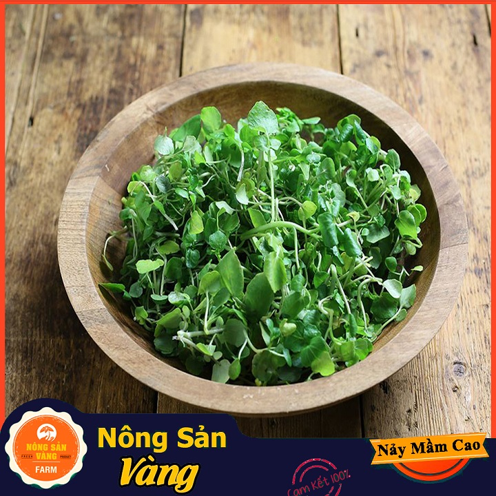 Hạt giống Xà Lách Xoong ( Gói 0,5 Gram ) - Nông Sản Vàng