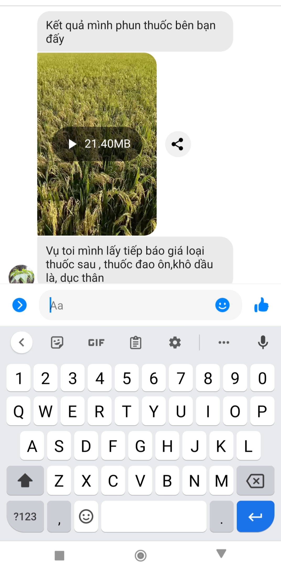 PHÂN BÓN GIÚP HẠT LÚA CHÍN CHẮC TỚI CẬY, NO TRÒN, NẶNG KÍ - CHẮC HẠT 1L