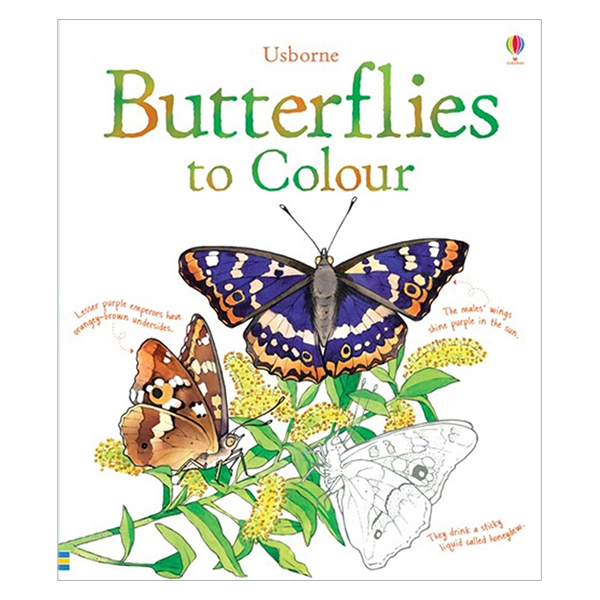 Usborne Butterflies to Colour