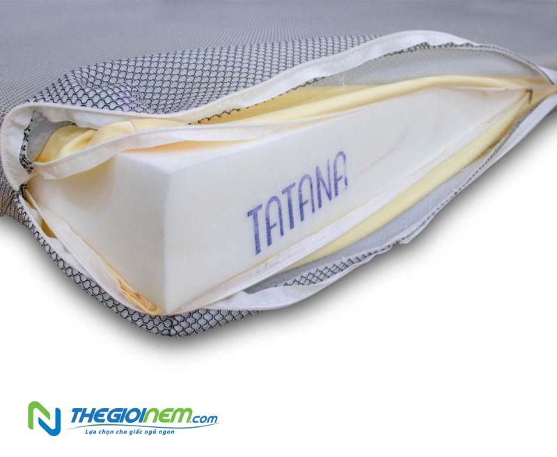 Nệm Cao Su Nhân Tạo TaTaNa Thẳng 160x200x10cm