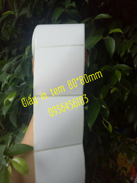 Giấy in tem đơn hàng vận chuyển 80*80mm