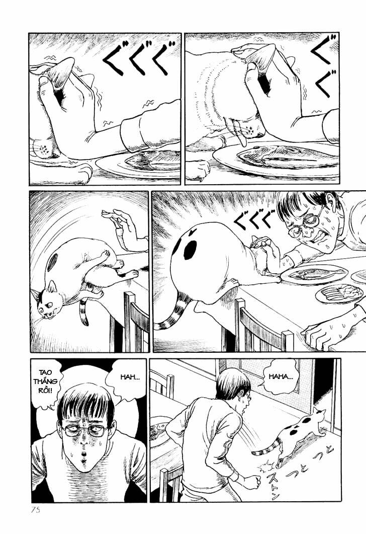 ito junji cat's diary chapter 7 7