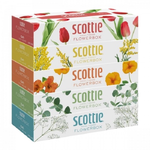 Set 5 khăn giấy Scottie 5 màu cao cấp 160 tờ