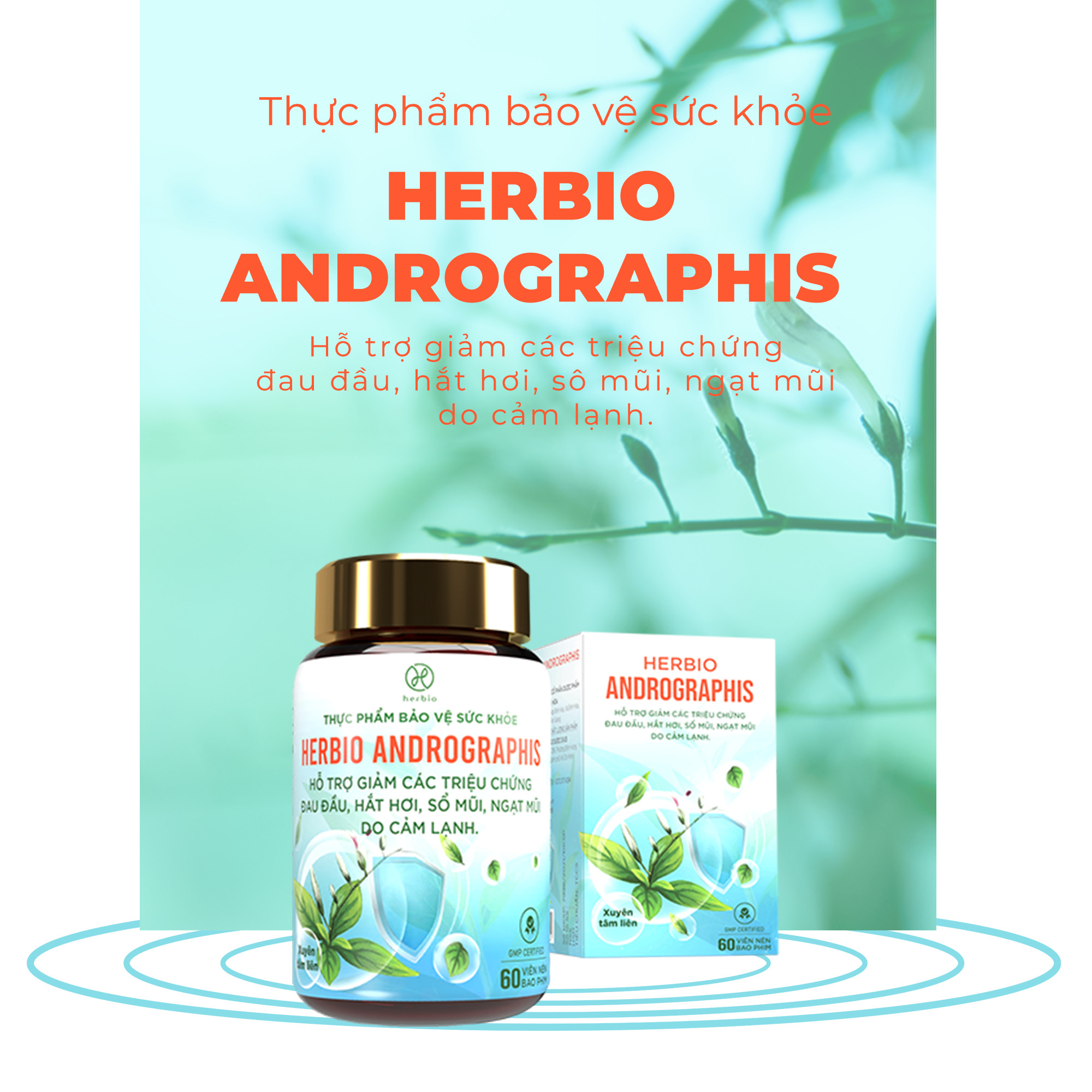 Viên uống thảo dược Herbio Andrographis - kết hợp Xuyên Tâm Liên và Vitamin C tăng cường đề kháng, hỗ trợ giảm các triệu chứng đau đầu, hắc hơi, sổ mũi, ngạt mũi do cảm lạnh - Hộp 01 Lọ x 60 viên