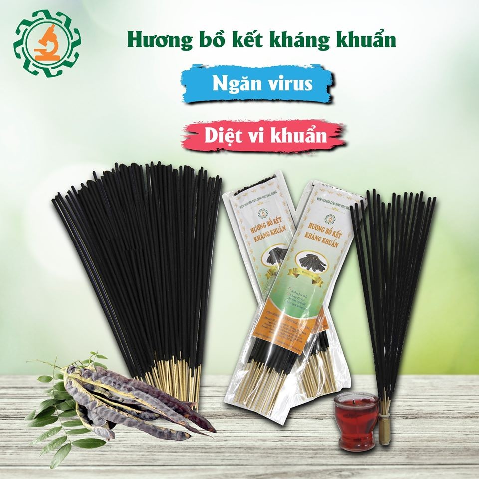 Hương bồ kết xông phòng dạng tăm dài - 28 cây